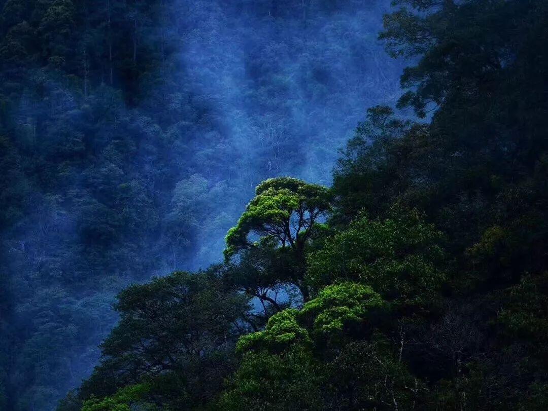 恐怖僵尸之夜